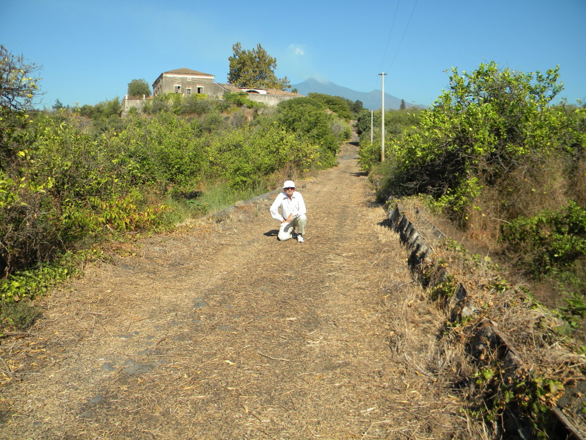 DSCN8164 .JPG